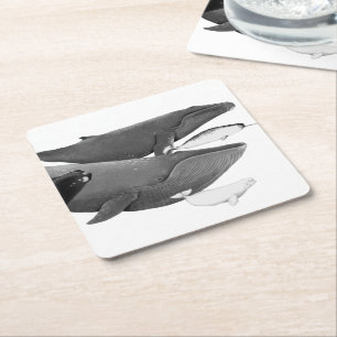 Dessous De Verre Carré La Nage Des Baleines Illustration Art Whale Blanc