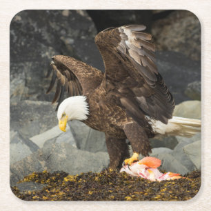 Dessous De Verre Carré L'aigle chauve ultime