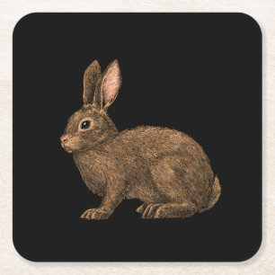 Dessous De Verre Carré Lapin 2