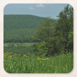 Dessous De Verre Carré Laurel Highlands Pennsylvania Summer Photography