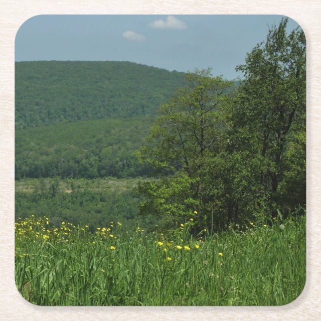 Dessous De Verre Carré Laurel Highlands Pennsylvania Summer Photography (Devant)