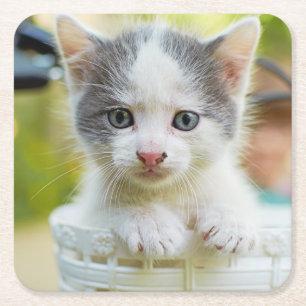 Dessous De Verre Carré Le chaton monte un vélo