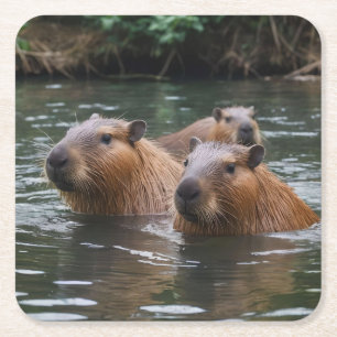 Dessous De Verre Carré Les capybaras nagent dans la rivière, 