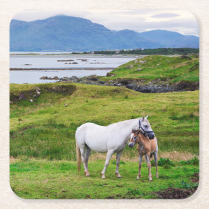 Dessous De Verre Carré Les chevaux de Connemara   Galway, Irlande