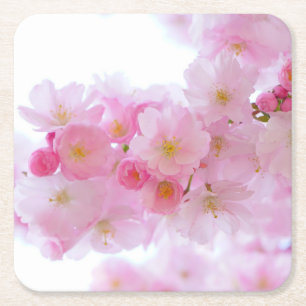 Dessous De Verre Carré Les fleurs de cerisiers roses pâles