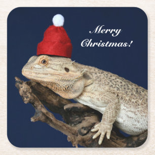 Dessous De Verre Carré Lézard Dragon Porté Personnalisé - Santa Hat