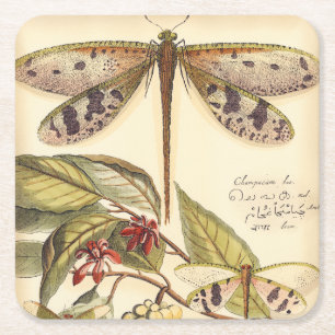Dessous De Verre Carré Libellules avec le feuille et le fruit