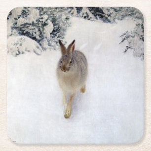 Dessous De Verre Carré Lièvre d'hiver (lapin), Bruno Liljefors