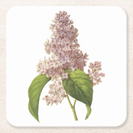 Dessous De Verre Carré lilac (Syringa sp.) par Redouté
