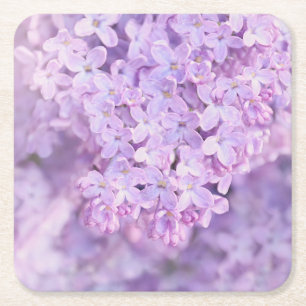 Dessous De Verre Carré Lilas français pourpres mous