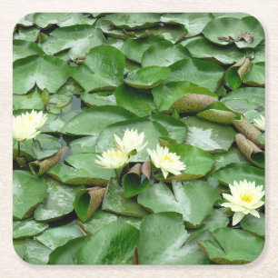 Dessous De Verre Carré Lillies d'eau