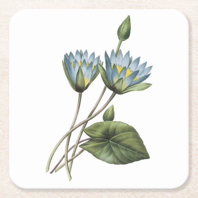 Dessous De Verre Carré lotus bleu (Nymphaea caerulea) par Redouté (Devant)