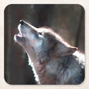 Dessous De Verre Carré Loup hurlant loup solitaire