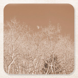 Dessous De Verre Carré Lune au-dessus de la forêt blanche - Dessous de ve