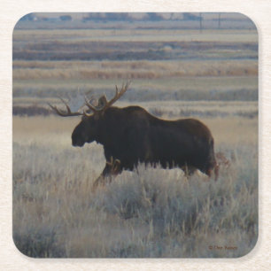 Dessous De Verre Carré M2 Bull Moose