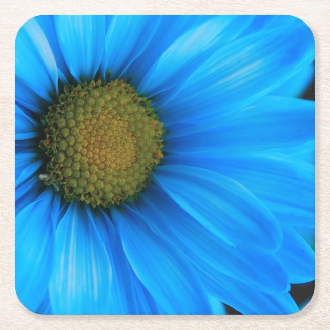 Dessous De Verre Carré Marguerite bleue lumineuse (Devant)