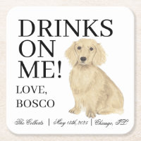 Mariage anglais Cream Dachshund Dog