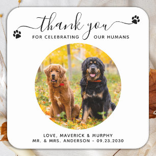 Dessous De Verre Carré Mariage pour animaux de compagnie moderne élégant 