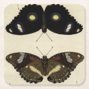 Dessous De Verre Carré Mélange coloré de papillon sur l'arrière - plan