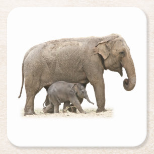 Dessous De Verre Carré Mère et bébé éléphant