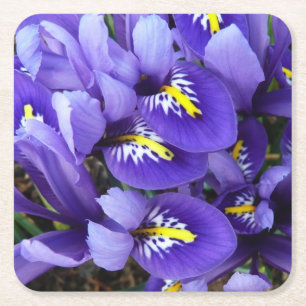 Dessous De Verre Carré Miniature Bleu Irises Printemps Floral