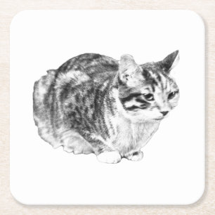 Dessous De Verre Carré Minuscule galerie : Tabby sur Cushion