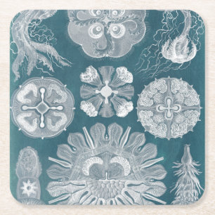 Dessous De Verre Carré Modèle IV de vie marine