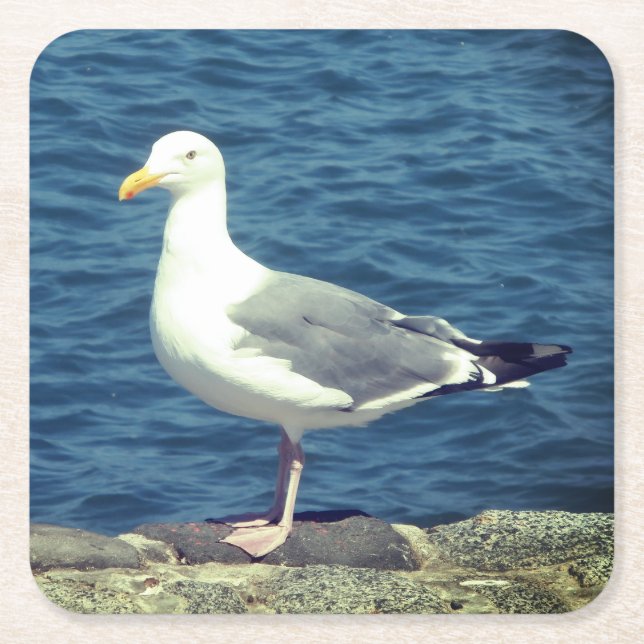 Dessous De Verre Carré Mouette Sur La Baie (Devant)