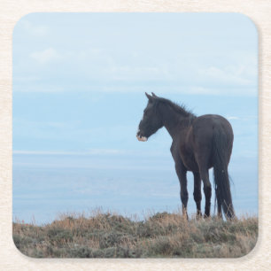Dessous De Verre Carré Mustang sauvage