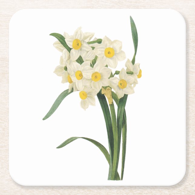 Dessous De Verre Carré narcissus(Narcissus tazetta) par Redouté (Devant)