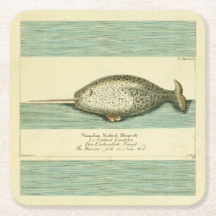 Dessous De Verre Carré Narwhal Antique Baleine Aquarelle Art scientifique