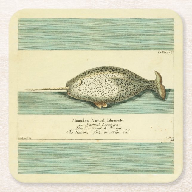 Dessous De Verre Carré Narwhal Antique Baleine Aquarelle Art scientifique (Devant)