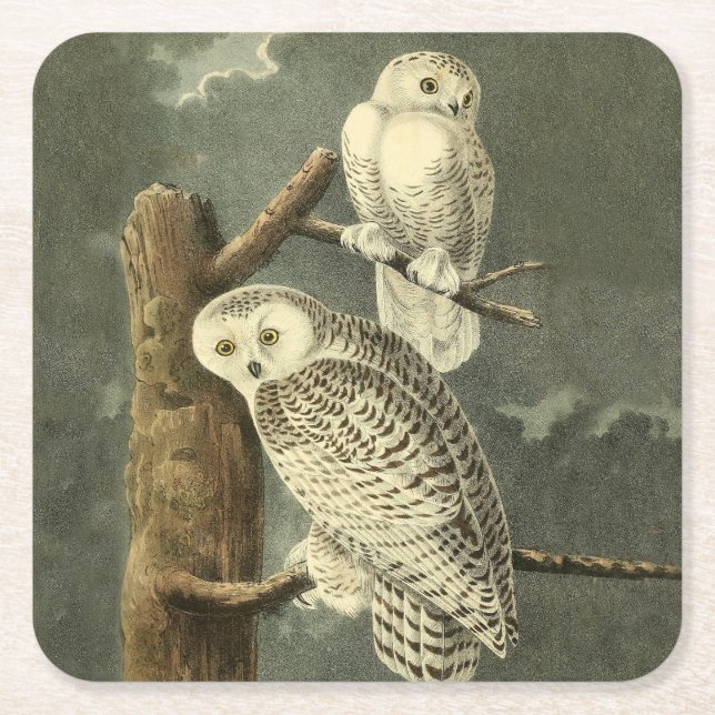 Dessous De Verre Carré OEuvre d'OEuf Audubon (Devant)