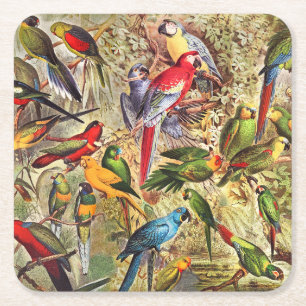 Dessous De Verre Carré Oiseaux tropicaux Vintages colorés Parrots
