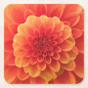 Dessous De Verre Carré Orange Dahlia