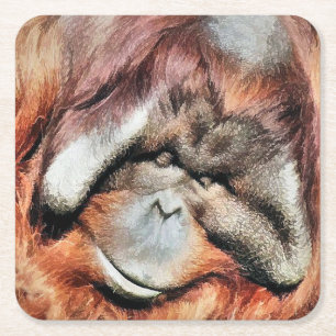 DESSOUS DE VERRE CARRÉ ORANGUTANS