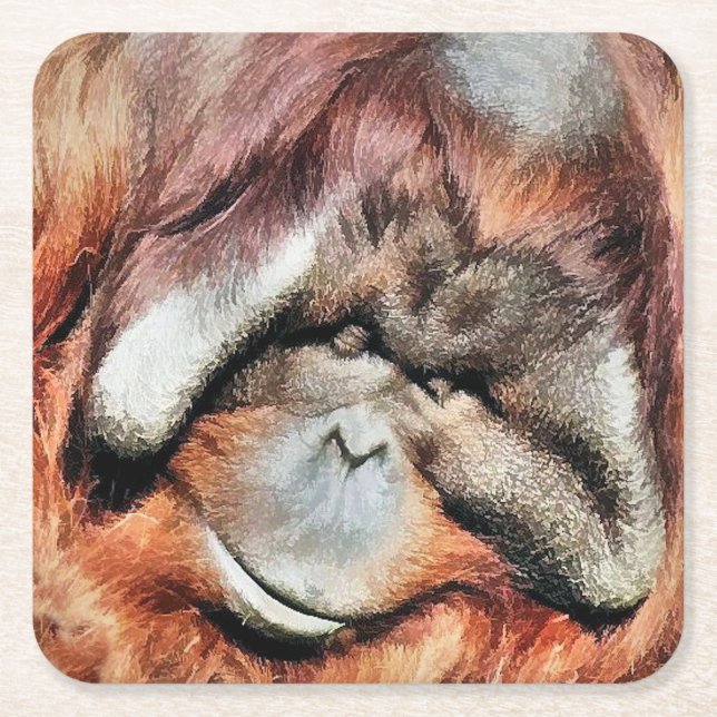 DESSOUS DE VERRE CARRÉ ORANGUTANS (Devant)