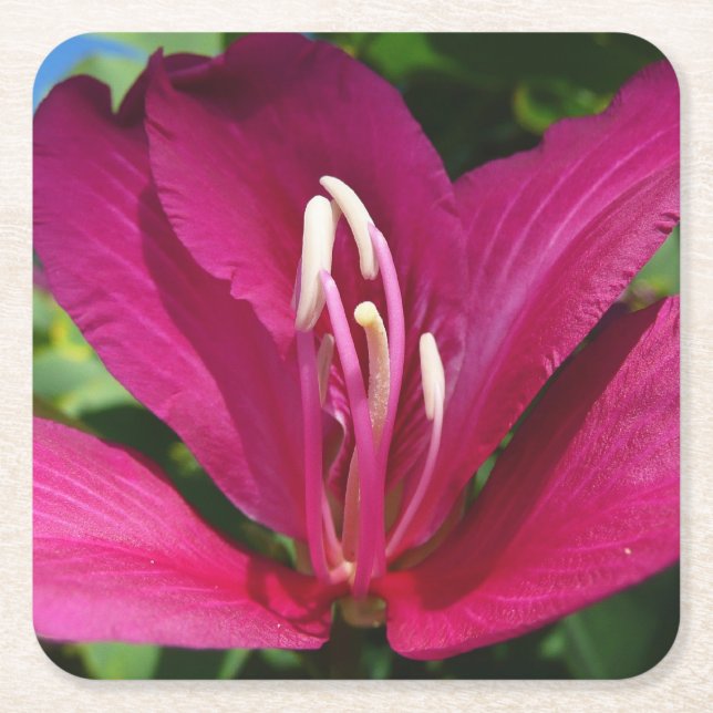 Dessous De Verre Carré Orchidée Fleurie tropicale Florale (Devant)