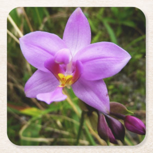 Dessous De Verre Carré Orchidée sauvage violette Fleur tropicale
