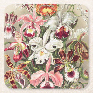 Dessous De Verre Carré Orchidées, Orchideae Denusblumen par Ernst Haeckel