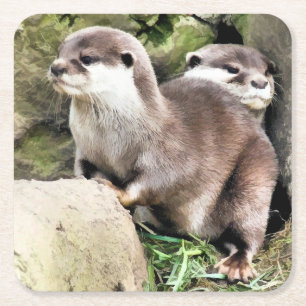 DESSOUS DE VERRE CARRÉ OTTERS