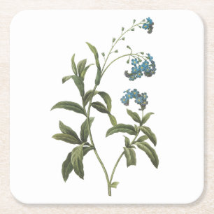 Dessous De Verre Carré oubliez-moi-not(Myosotis scorpioides) par Redouté