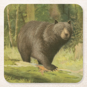 Dessous De Verre Carré Ours noir sur un tronc d'arbre