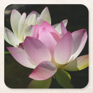 Dessous De Verre Carré Paire de fleurs de Lotus II