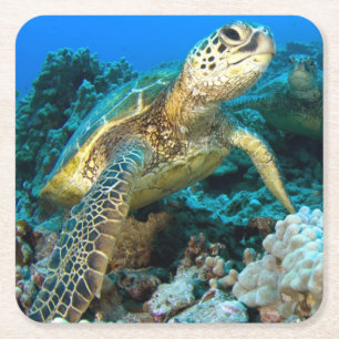 Dessous De Verre Carré Paires de tortue