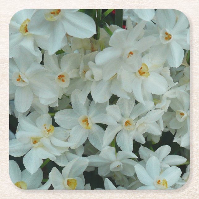 Dessous De Verre Carré Paperwhite Narcissus Fleurs blanches délicates (Devant)