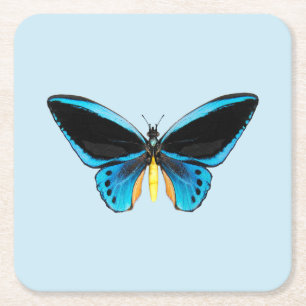 Dessous De Verre Carré Papillon Birdwing