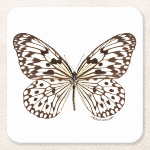 Dessous De Verre Carré Papillon de tigre de châtaigne