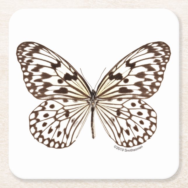 Dessous De Verre Carré Papillon de tigre de châtaigne (Devant)