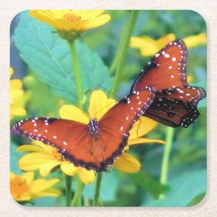 Dessous De Verre Carré Papillon Monarque - Dessous de verre